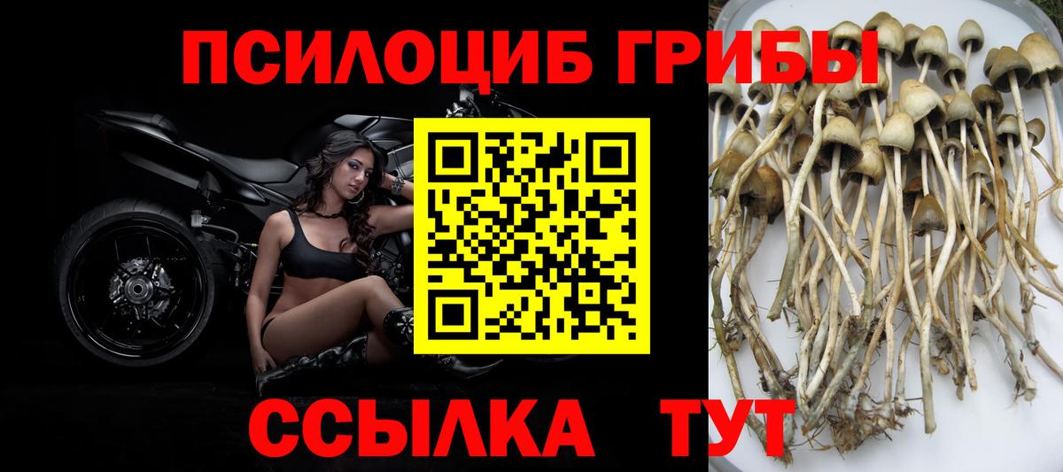 Усинск  Псилоцибиновые грибы Psilocybine cubensis  Вход с VPN  Галлюциногенные грибы Cubensis 