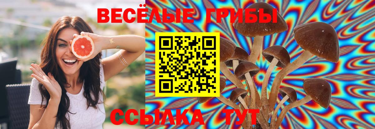 Псилоцибиновые грибы Magic Shrooms Усинск